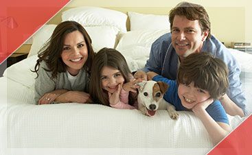 Image of a family in bed with a dog