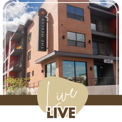 Live (1).png