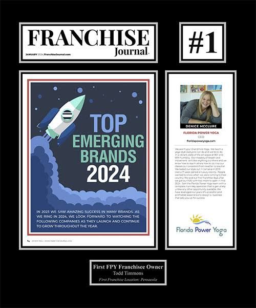 top emerging brands graphic