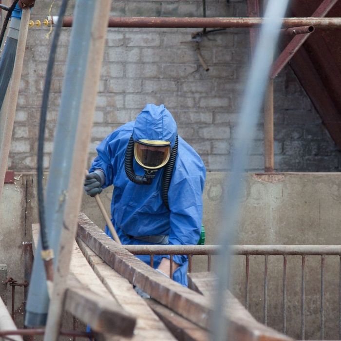 a person in a blue hazmat suit disposing of materials a person in a blue hazmat suit disposing of materials