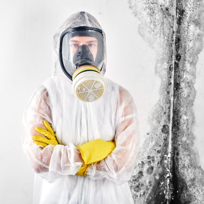 PARTNER WITH US FOR MOLD REMOVAL IN PASSAIC COUNTY