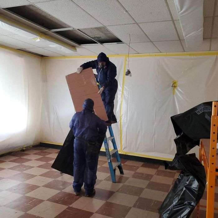 2 men removing a ceiling panel during an asbestos removal service 2 men removing a ceiling panel during an asbestos removal service