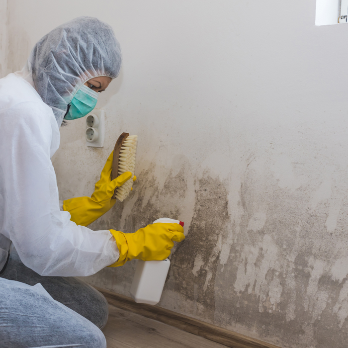 Mold Remediation.png