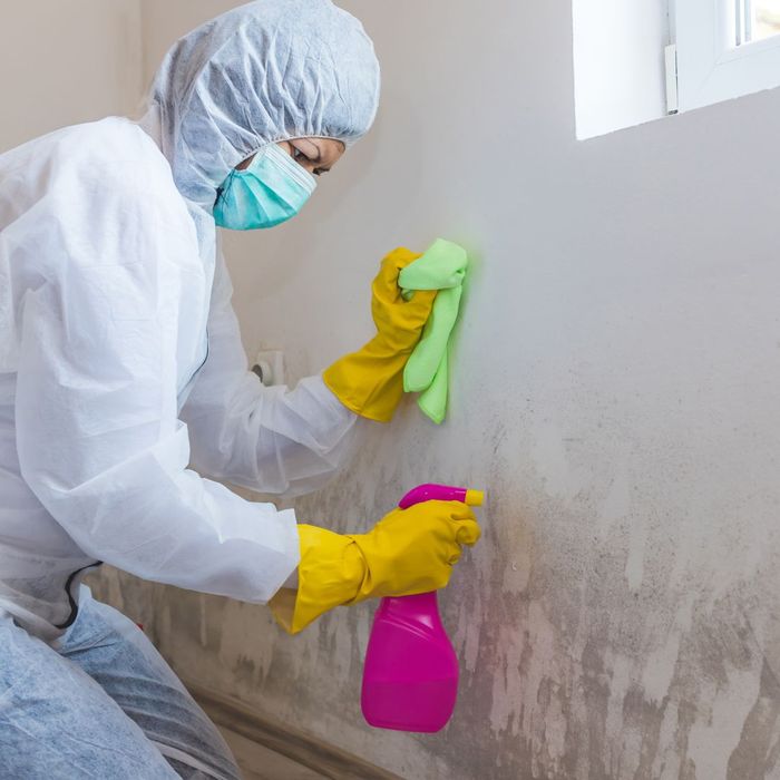 ABOUT OUR MOLD REMOVAL IN BERGEN COUNTY.jpg