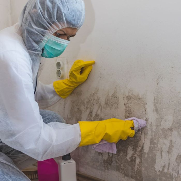 MOLD REMEDIATION.jpg