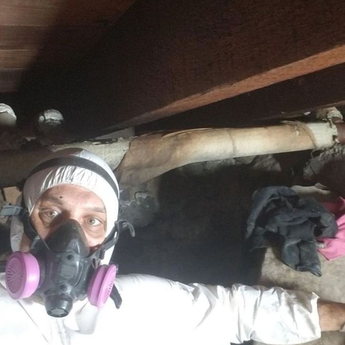 a man in a hazmat suit and mask posing under a area exposed to asbestos a man in a hazmat suit and mask posing under a area exposed to asbestos