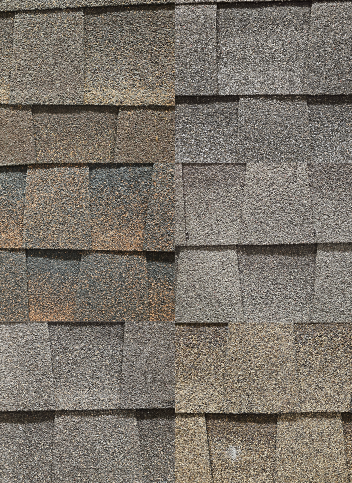 RCPX Inc Shingle selections