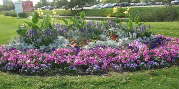 business landscaping with in-ground flowers