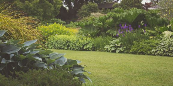 Top Summer Landscaping Ideas to Beat the Heat in St Paul Hero.jpg