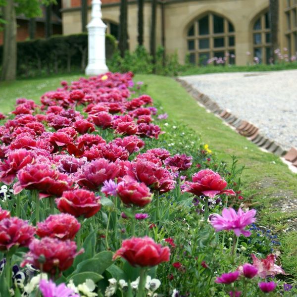 flowers lining a driveway Which Landscaping Upgrades Add the Most Value.jpg