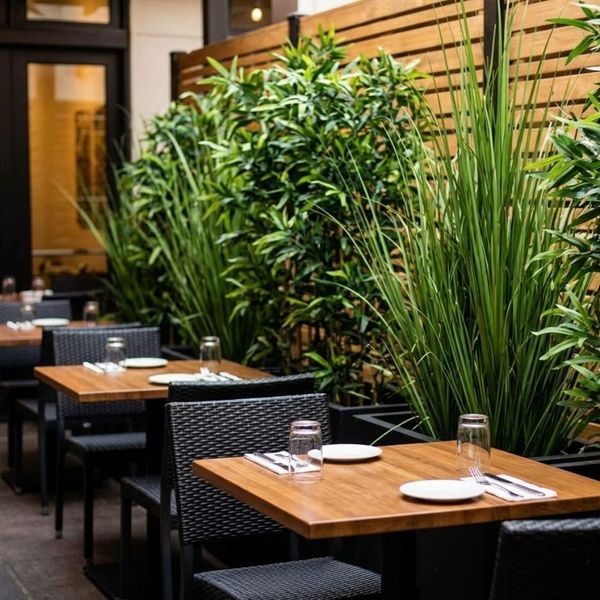 Square shot of intimate restaurant patio tables separated by tall plants.