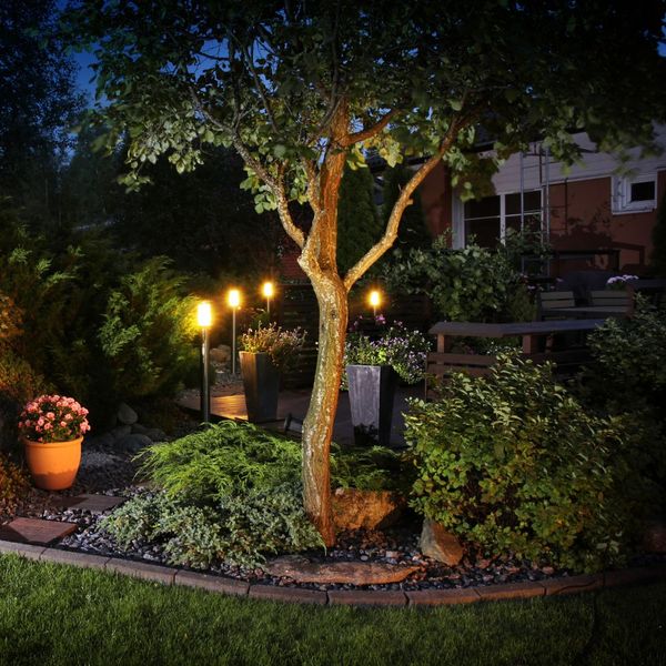 lights in a garden Which Landscaping Upgrades Add the Most Value (4).jpg