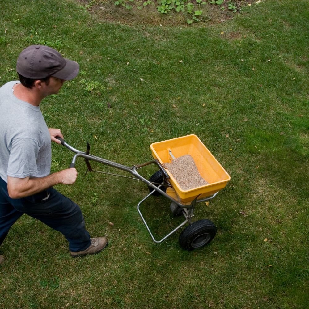 a professional spreading fertilizer on a lawn