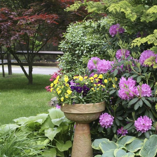 flowers in commercial landscape