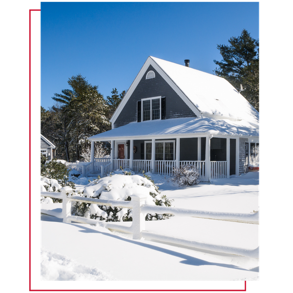 New Builds - Image 1.png