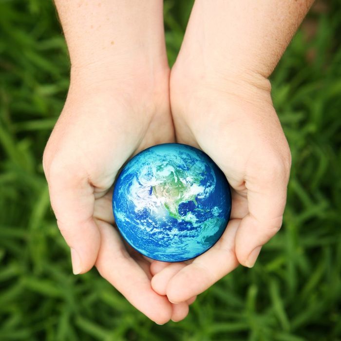 hands holding a mini globe