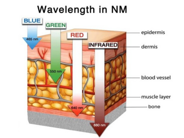 Wavelength in NM infographic: blue 465nm, green 550nm, red 640nm, infrared 880nm