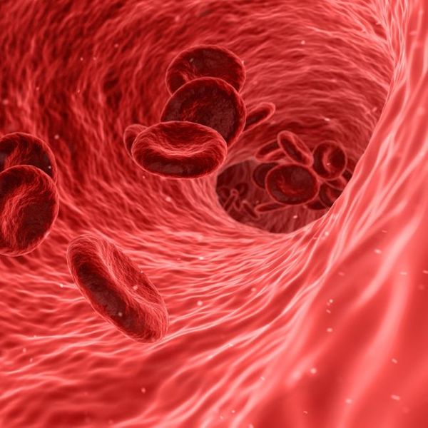 red blood cells traveliing through a vein Red Light Therapy (2).jpg