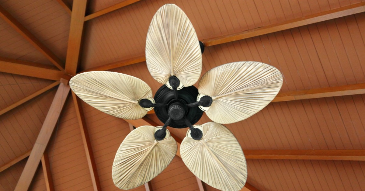 banner-2019-08-06T050502-291-5d495ee8dbf45.jpg