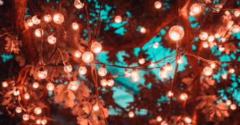 blur-bright-close-up-1124960-5d495ab2c97bf.jpg