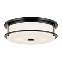 Home Gym Lighting PB Product 3.jpg