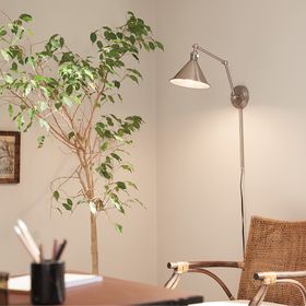 wall lamp in study, large plant