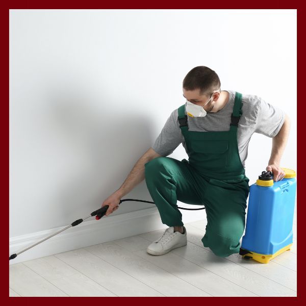 pest control spraying