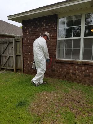 pest-control-cullman-alabama.jpg