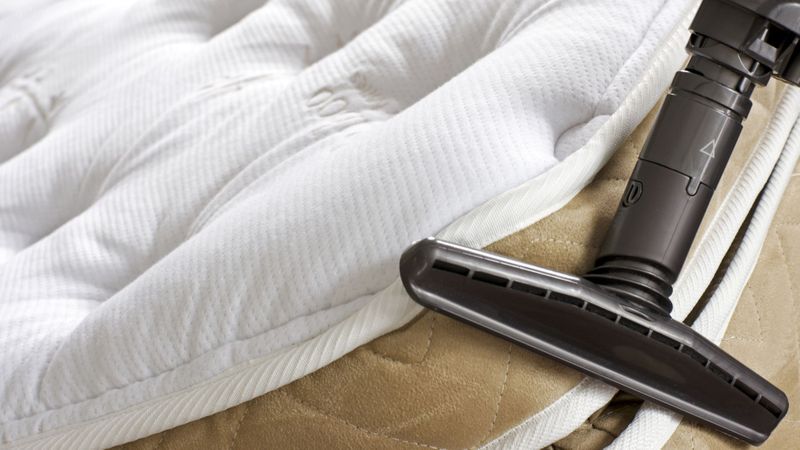 The Benefits of One-Day Bed Bug Control.jpg
