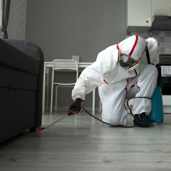 Why Choose Our Professional Termite Exterminators - Image 3.jpg
