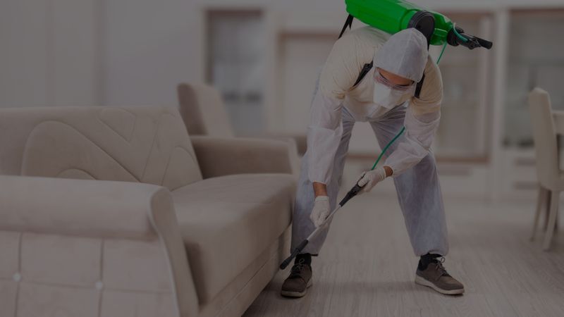 Why Choose Our Professional Termite Exterminators.jpg