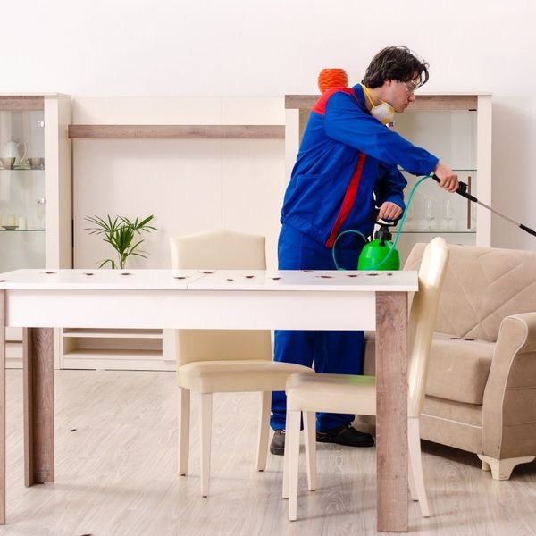 Common Types of Termite Treatment Services - Image 2.jpg
