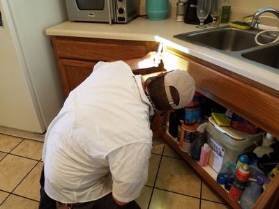 residential-pest-control-service-alabama-800x600.jpg