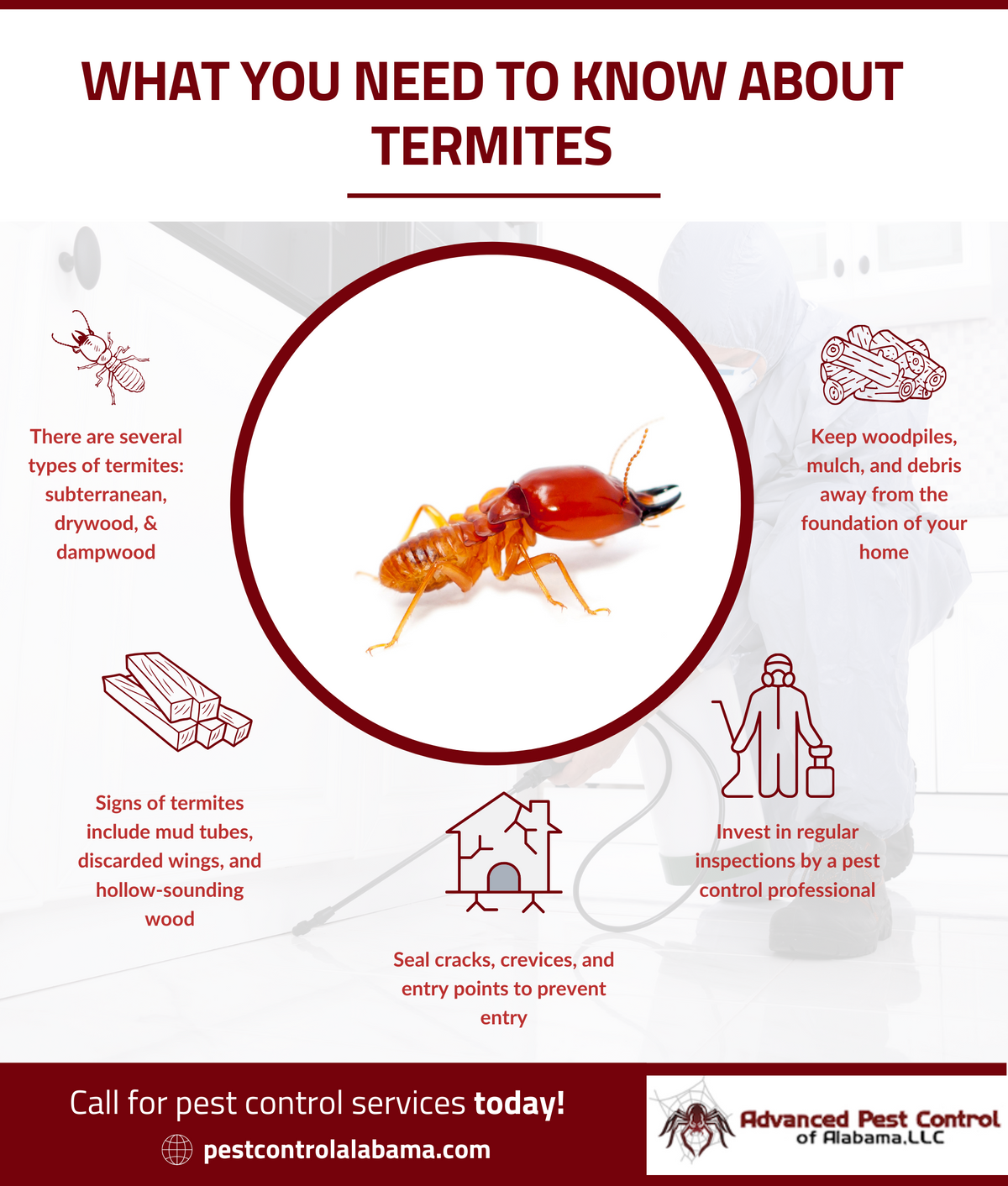 M179334 - Advanced pest control of Alabama infogrpahic (1).png