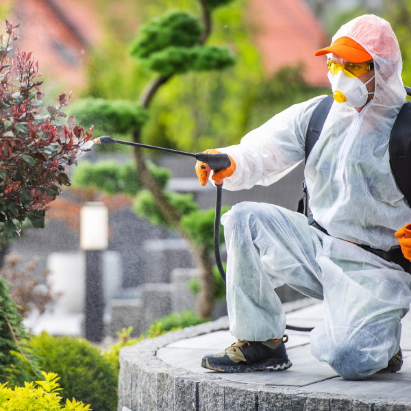 exterminator spraying bush