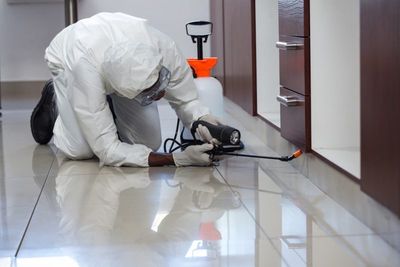 commercial-pest-control-service-in-alabama-800x533.jpg