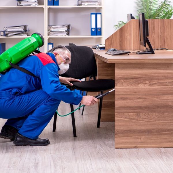 Common Types of Termite Treatment Services - Image 1.jpg