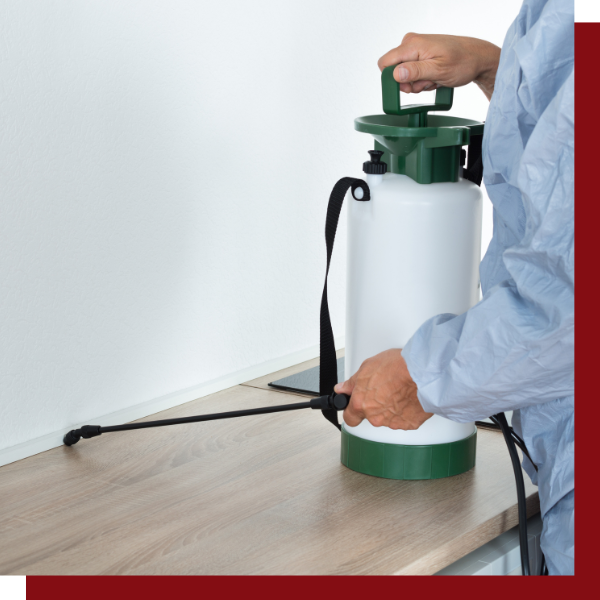 Ant Exterminator 4.png