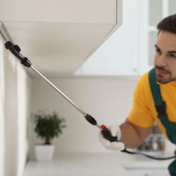 Why We are the Gulf Shores Top Choice for Pest Control Solutions - image 4.jpg