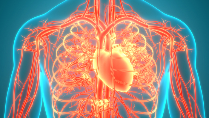 heart-stroke-symptoms-pad.jpg