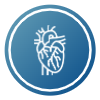 Arterial Disease.png