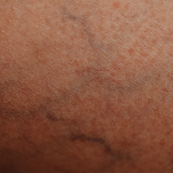 4 Areas of Expertise of Southern Kentucky 2.png