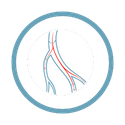 artery icon
