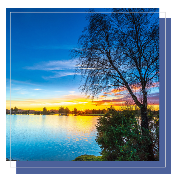 landscape in New Hampshire