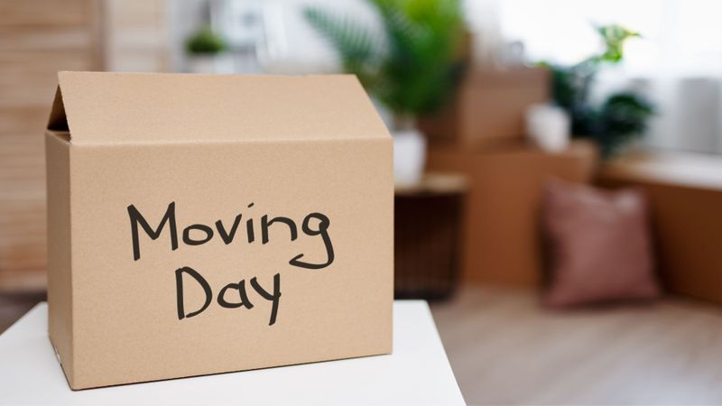 Box with "Moving Day" written in Sharpie. 
