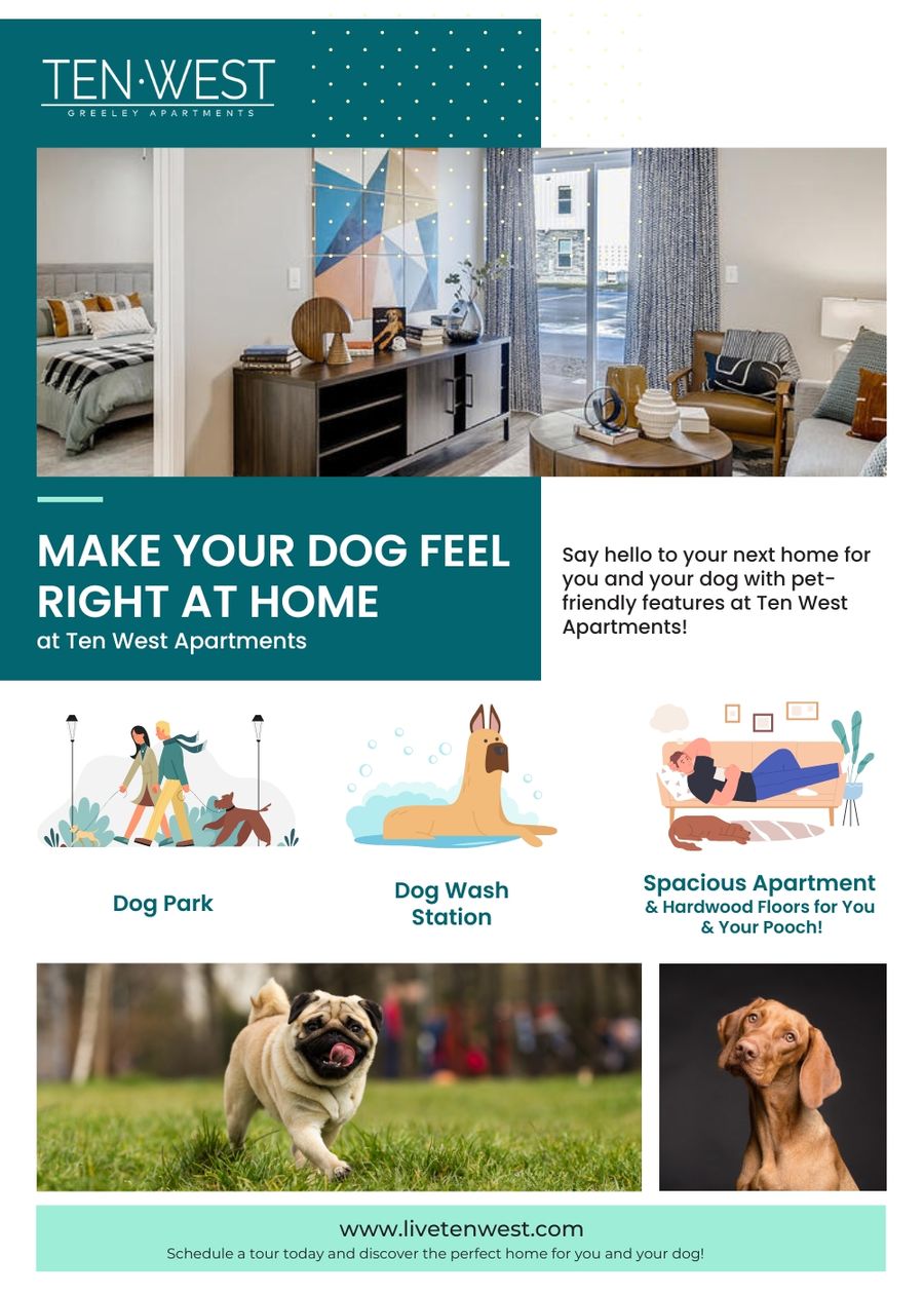 M35015 - Infographic - Make Your Dog Feel Right at Home at Ten West Apartments.jpg