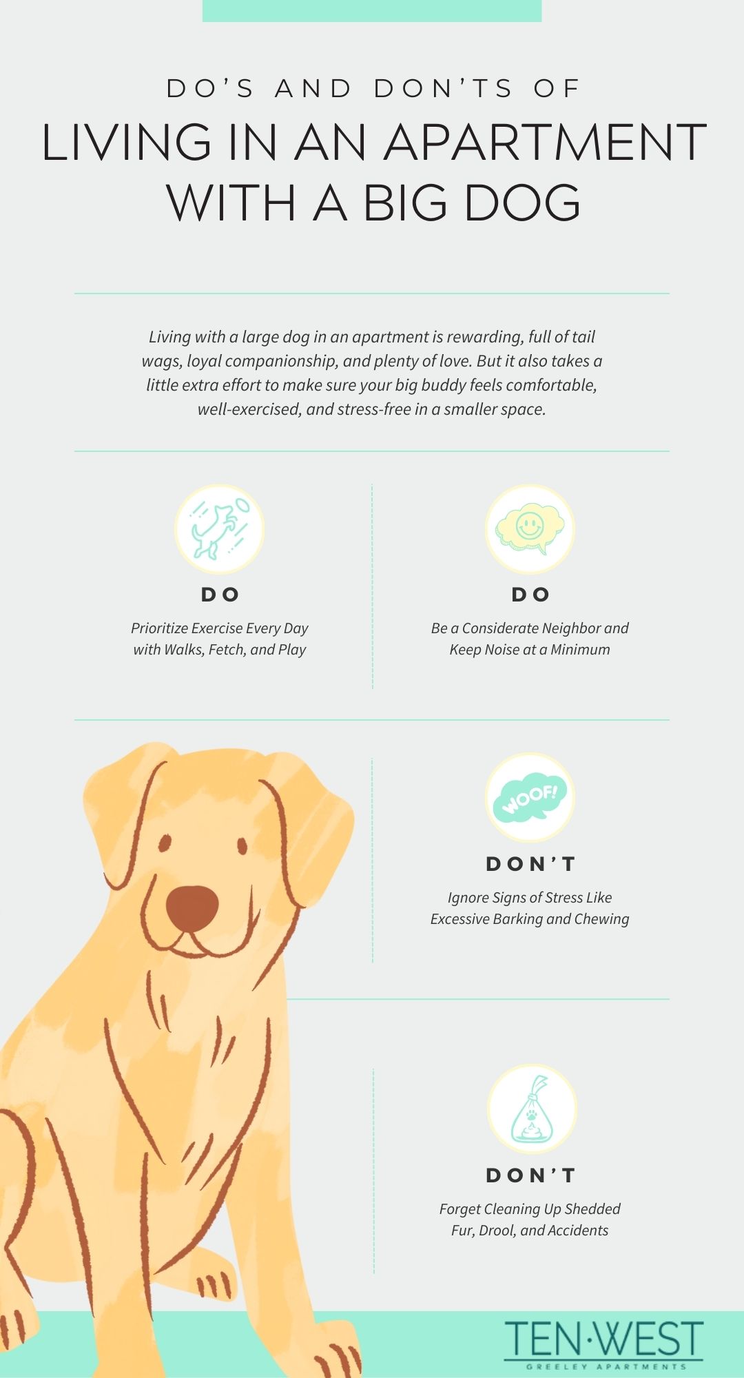 Do's and Don'ts of Living with a Big Dog graphic