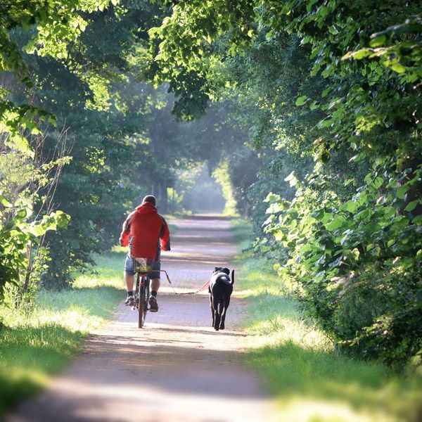A person in a red jacket bikes down a tree-lined path with a black dog running alongside on a leash. Best Amenities for Remote Workers 4.jpg