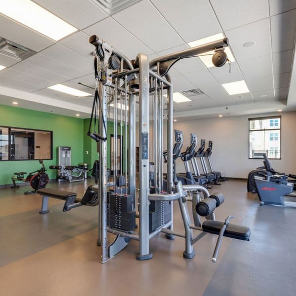 A well-equipped fitness center with treadmills and weights, ready for a workout. A well-equipped fitness center with treadmills and weights, ready for a workout.
