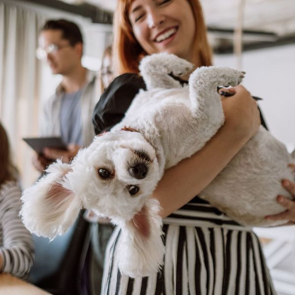 Woman holding a dog upside down, smiling. 